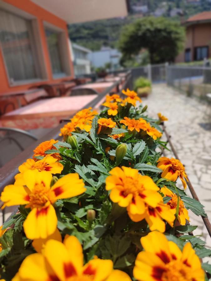 Albergo Villa Mimosa Torbole Sul Garda Kültér fotó