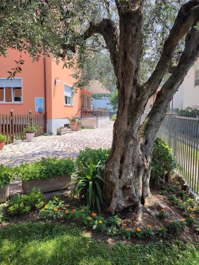 Albergo Villa Mimosa Torbole Sul Garda Kültér fotó